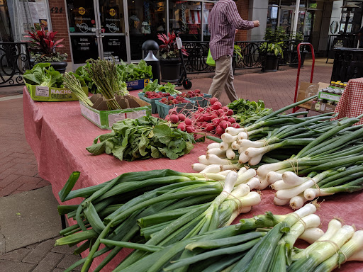 Event Venue «Fourth Street Live!», reviews and photos, 400 S 4th St, Louisville, KY 40202, USA