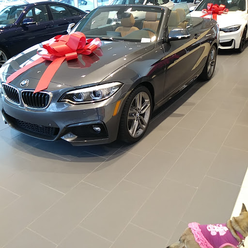 Car Dealer «The Fremont Auto Mall», reviews and photos, 5600 Cushing Pkwy, Fremont, CA 94538, USA