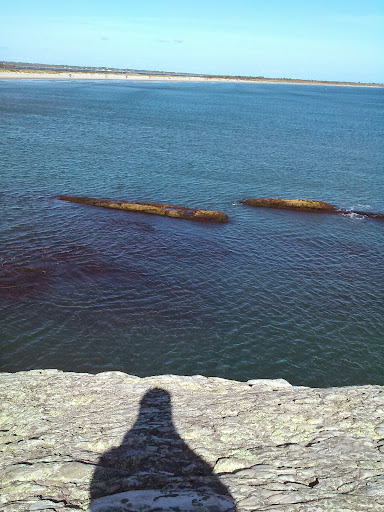 Nature Preserve «Norman Bird Sanctuary», reviews and photos, 583 3rd Beach Rd, Middletown, RI 02842, USA