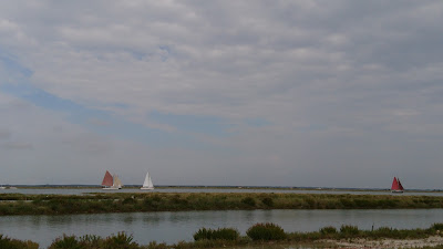 Les Marais de Bel Air à Chaillevette