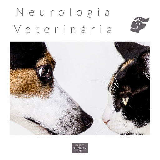 Vet Therapy Reabilitação Animal Rebouças. Clínica de Fisioterapia Veterinária em Pinheiros em São Paulo - SP
