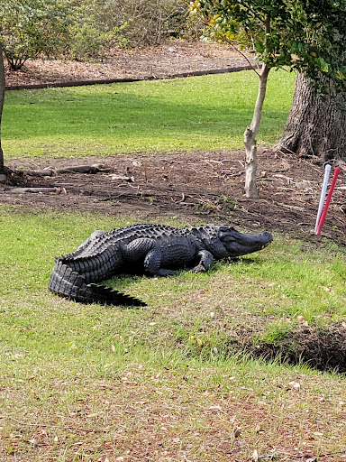 Golf Driving Range «Crowfield Golf Club», reviews and photos, 300 Hamlet Cir, Goose Creek, SC 29445, USA