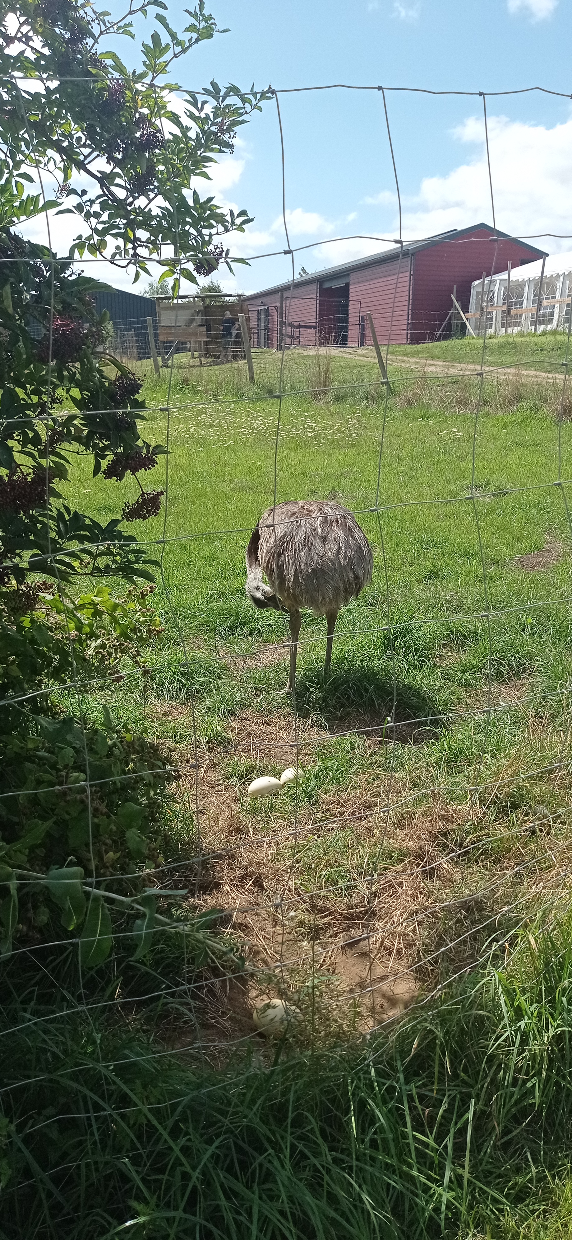 Photo n° 2 de l'avis de Mathieu.a fait le 13/08/2023 à 14:25
