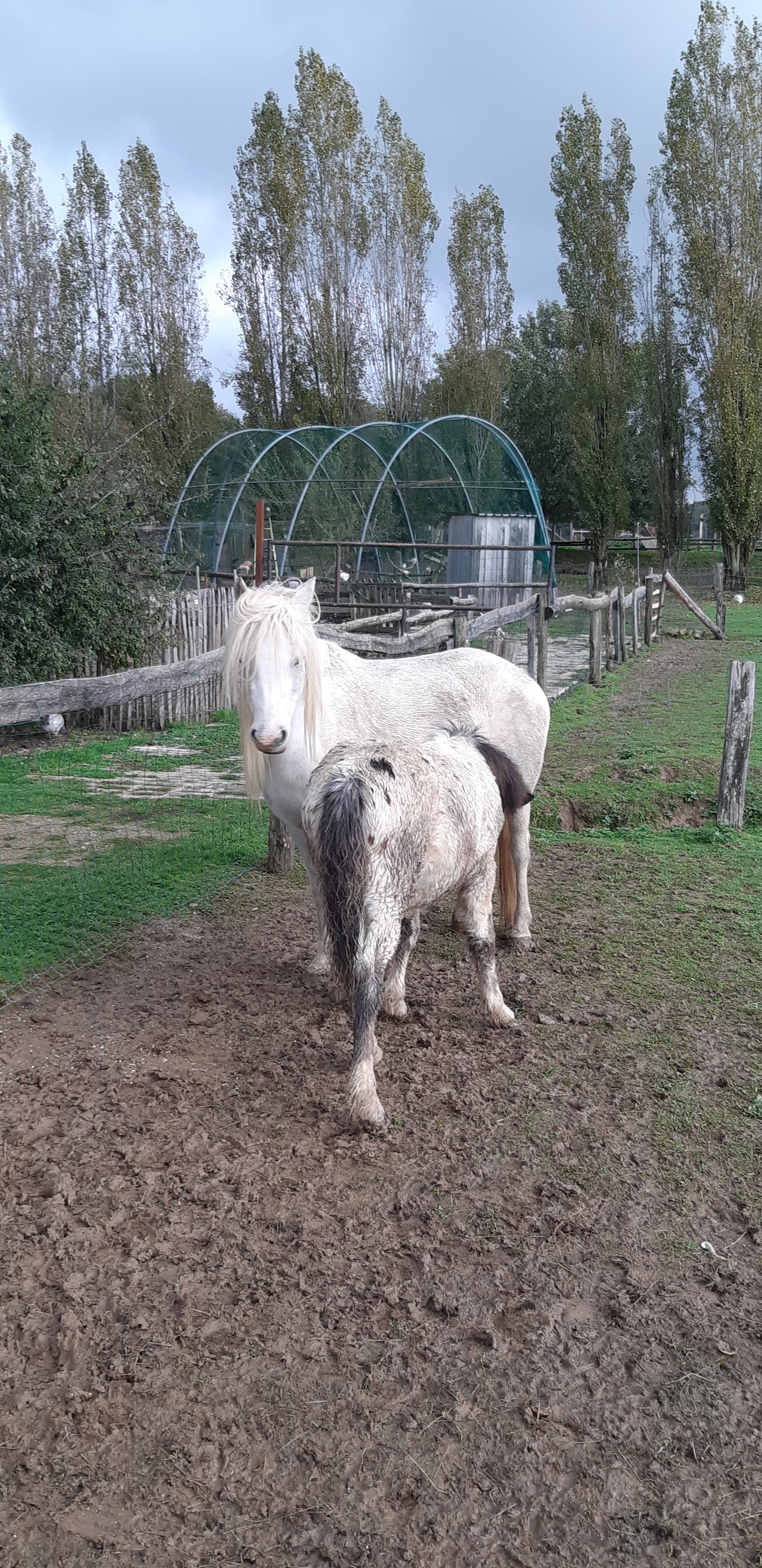 Photo n° 24 de l'avis de Yannick.a fait le 27/10/2019 à 14:17