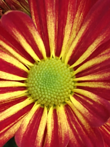 Grocery Store «Albertsons», reviews and photos, 4700 N Eagle Rd, Boise, ID 83713, USA