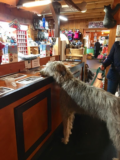 Pet Store «Living Pawsitively», reviews and photos, 39 NJ-15, Lafayette Township, NJ 07848, USA