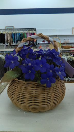 Thrift Store «Bargain World», reviews and photos, 4502 N Pearl St, Tacoma, WA 98407, USA