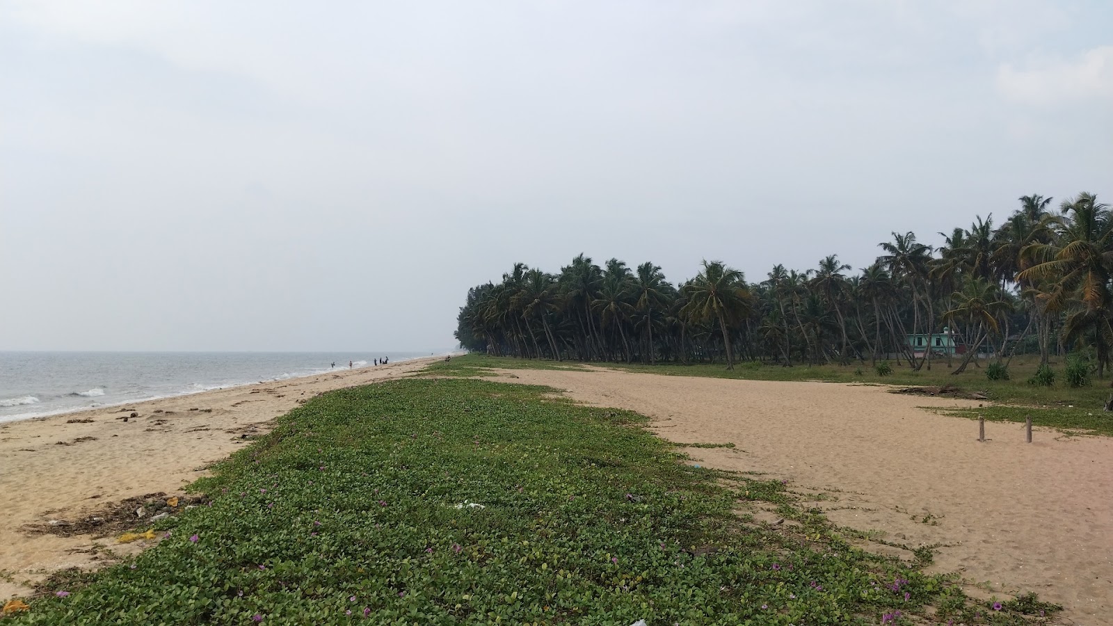 Photo of Nattika Beach amenities area