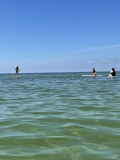 Bicycle Store «Rad Bicycles, Boards, Hobbies & Sup & Kayak Rentals», reviews and photos, 1401 Gulf Blvd #5, Indian Rocks Beach, FL 33785, USA