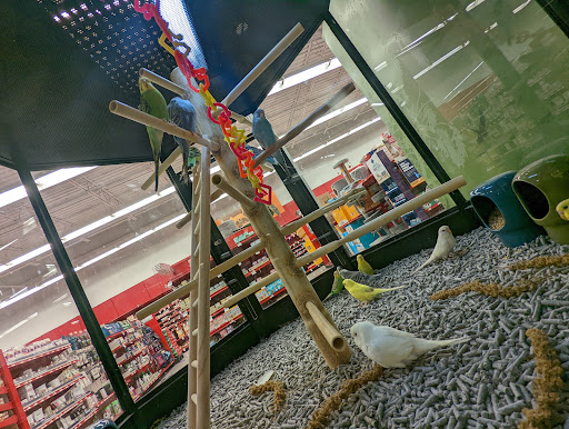 Pet Supply Store «Petco Animal Supplies», reviews and photos, 2230 Marlton Pike W #3, Cherry Hill, NJ 08002, USA