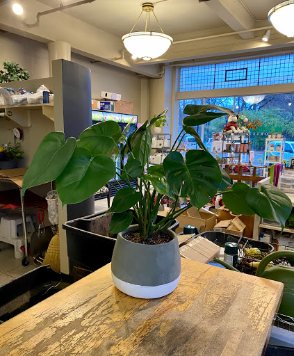 Florist «Bloomtastic Florist», reviews and photos, 2136 Arlington Ave, Columbus, OH 43221, USA