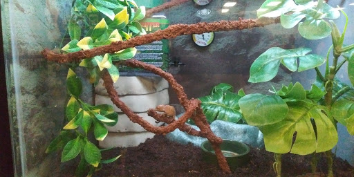 Pet Supply Store «Petco Animal Supplies», reviews and photos, 31419 Pacific Hwy S, Federal Way, WA 98003, USA