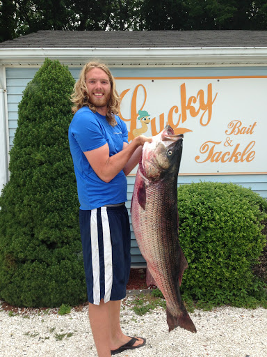 Fishing Store «Lucky Bait and Tackle», reviews and photos, 289 Market St, Warren, RI 02885, USA