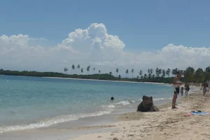 Playa Punta Brava image