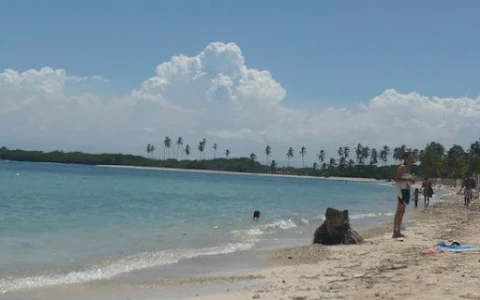 Playa Punta Brava image