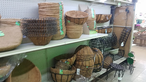 Garden Center «Westminster Nursery & Florist», reviews and photos, 30 Westminster Rd, West Hempstead, NY 11552, USA