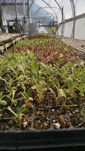 Grocery Store «Our Table Cooperative», reviews and photos, 13390 SW Morgan Rd, Sherwood, OR 97140, USA