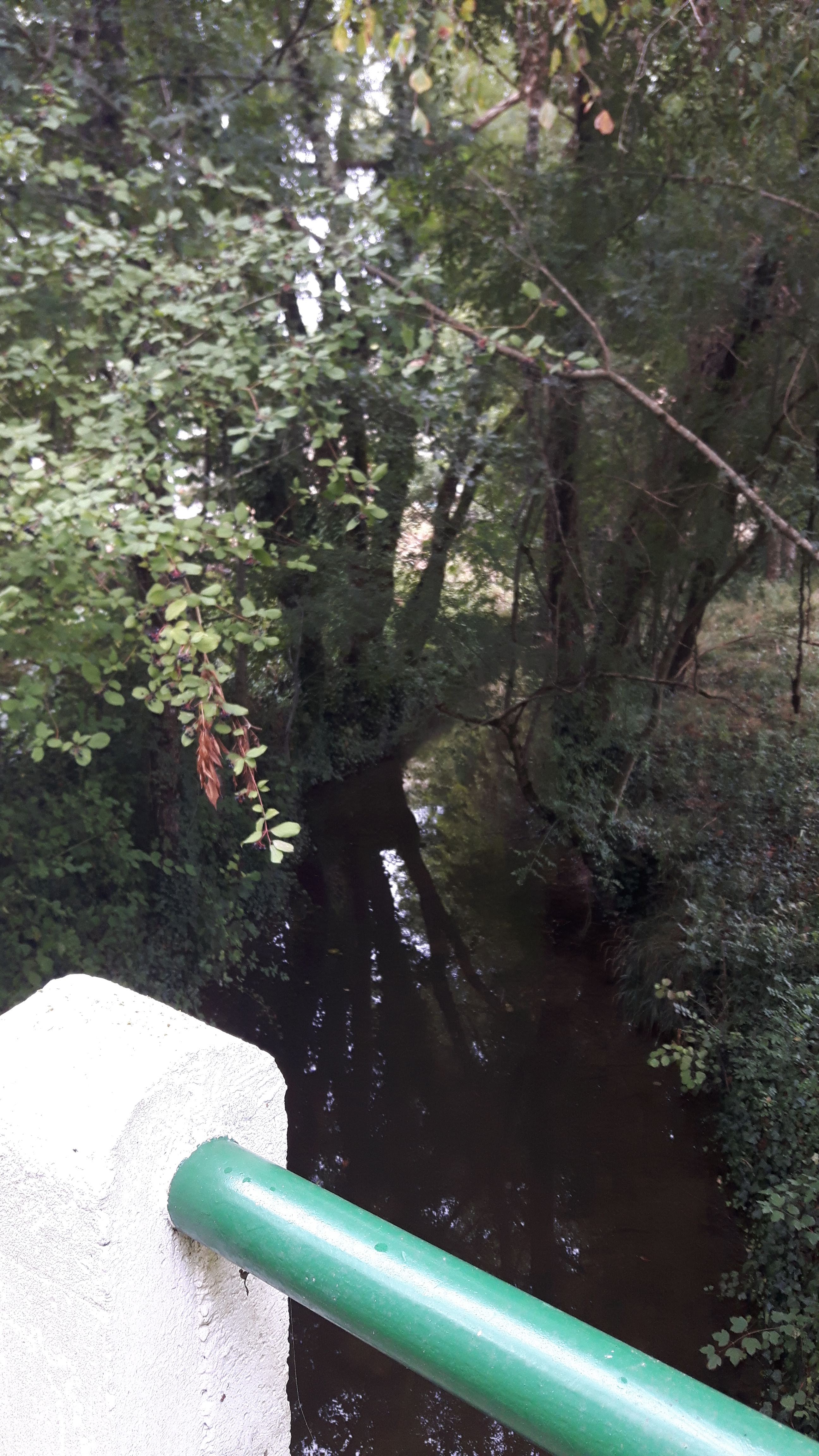 Photo n° 5 de l'avis de Eddy. fait le 07/09/2018 à 14:36