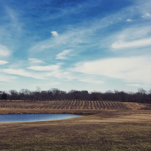 Winery «Villa Marie Winery & Banquet», reviews and photos, 6633 E Main St, Maryville, IL 62062, USA