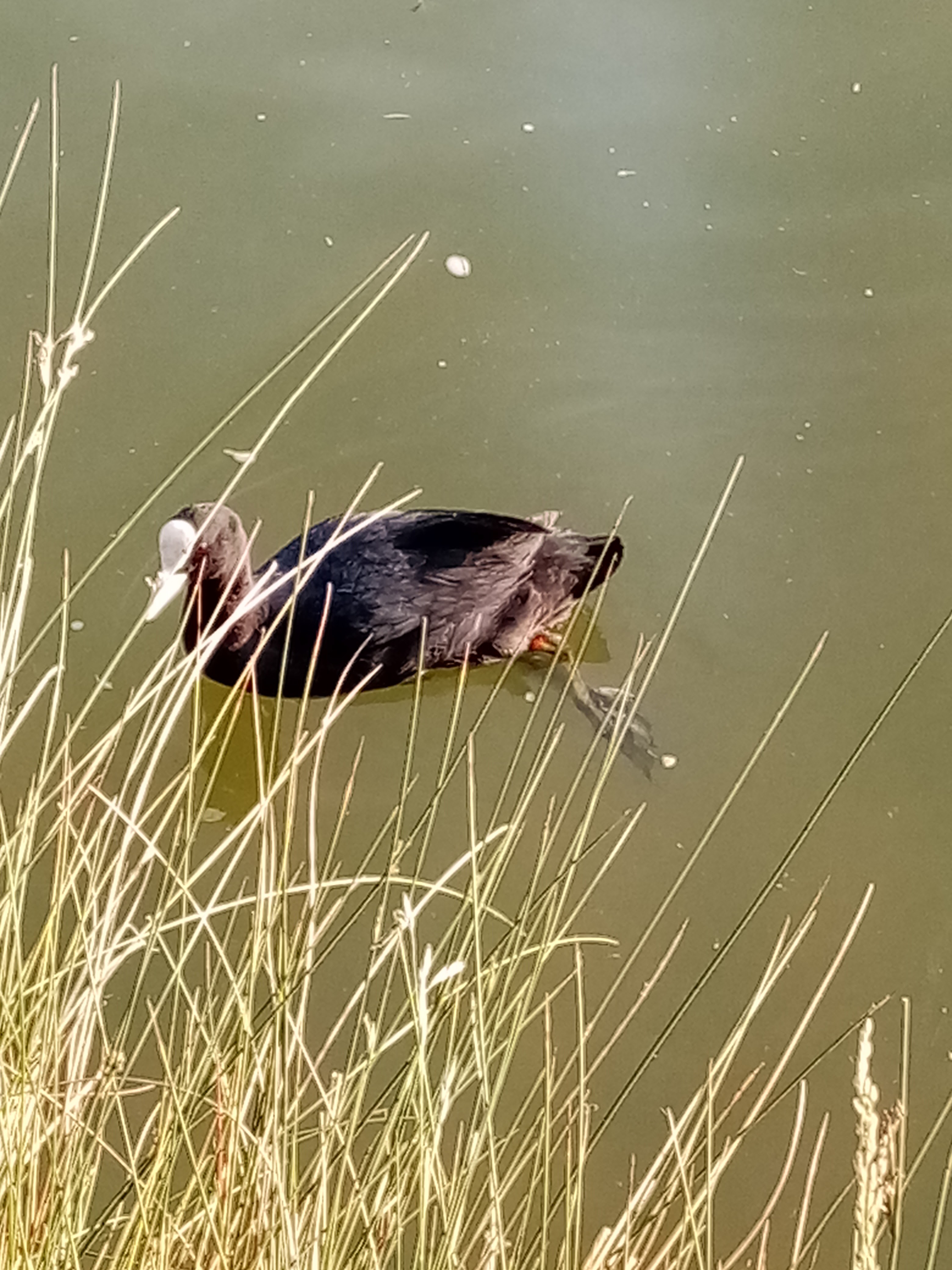 Photo n° 18 de l'avis de Sylvie.a fait le 11/10/2021 à 06:16