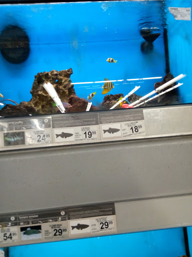 Pet Supply Store «Petco Animal Supplies», reviews and photos, 8909 Branch Ave d, Clinton, MD 20735, USA