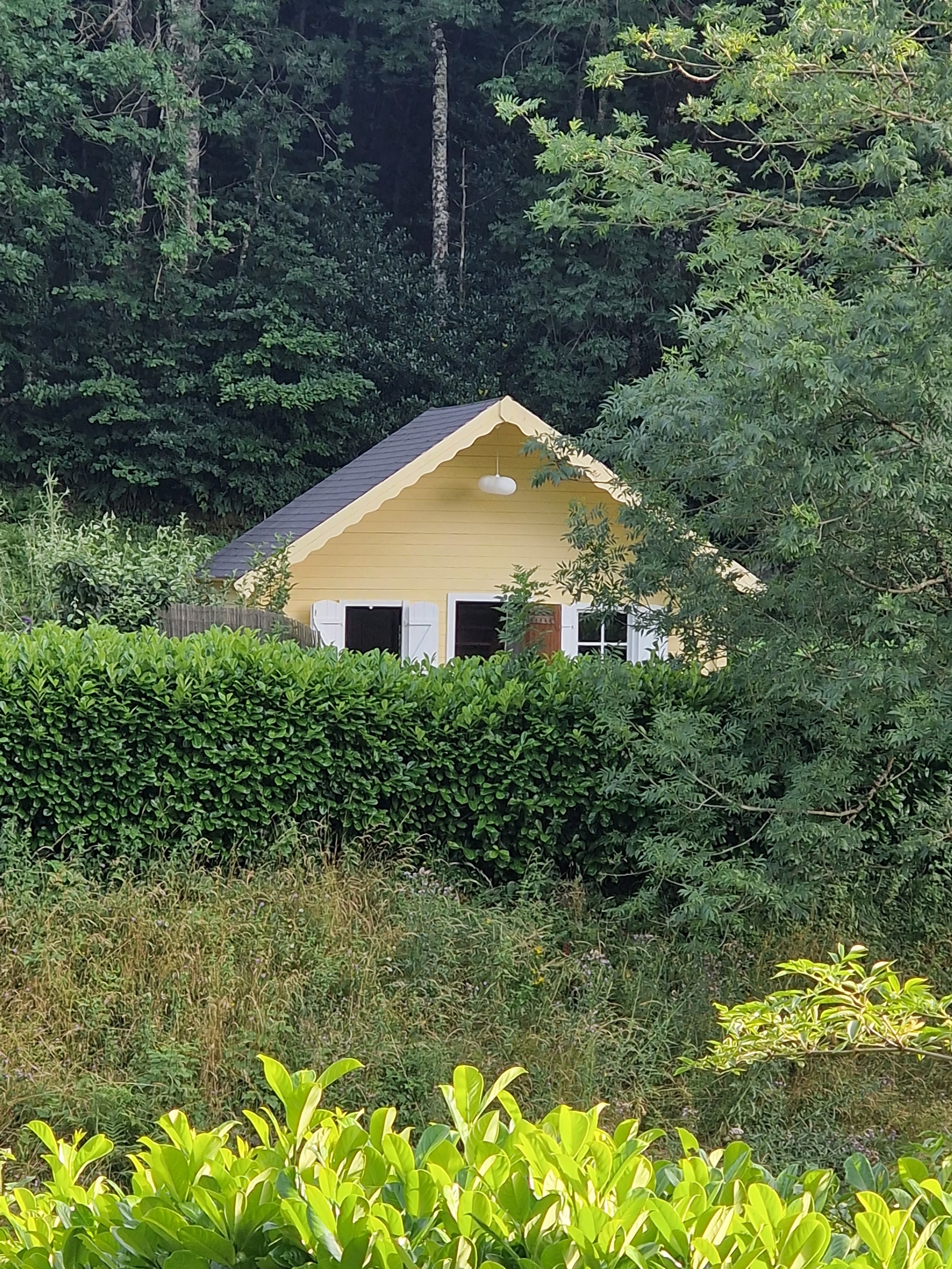 Photo n° 1 de l'avis de Restaurant.e fait le 12/07/2023 à 05:58