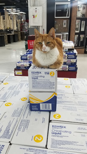 Hardware Store «Do it Center», reviews and photos, 3775 Thousand Oaks Blvd, Westlake Village, CA 91362, USA