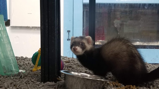 Pet Store «Pet Land», reviews and photos, 1450 Fort Campbell Blvd, Clarksville, TN 37042, USA