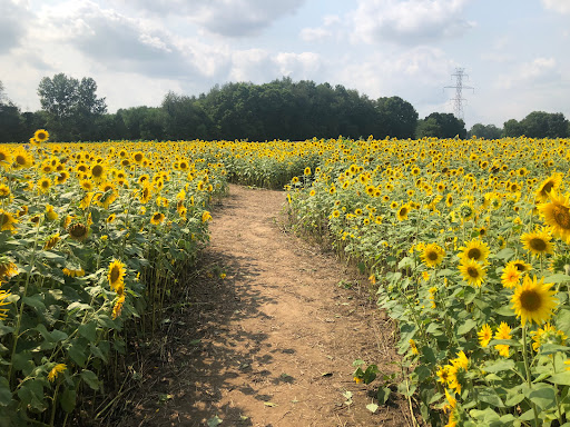 Thistleberry Farm