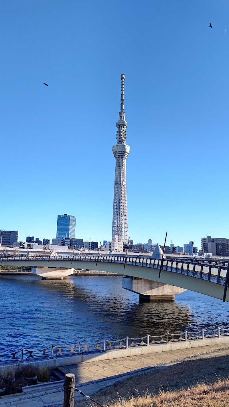 桜橋