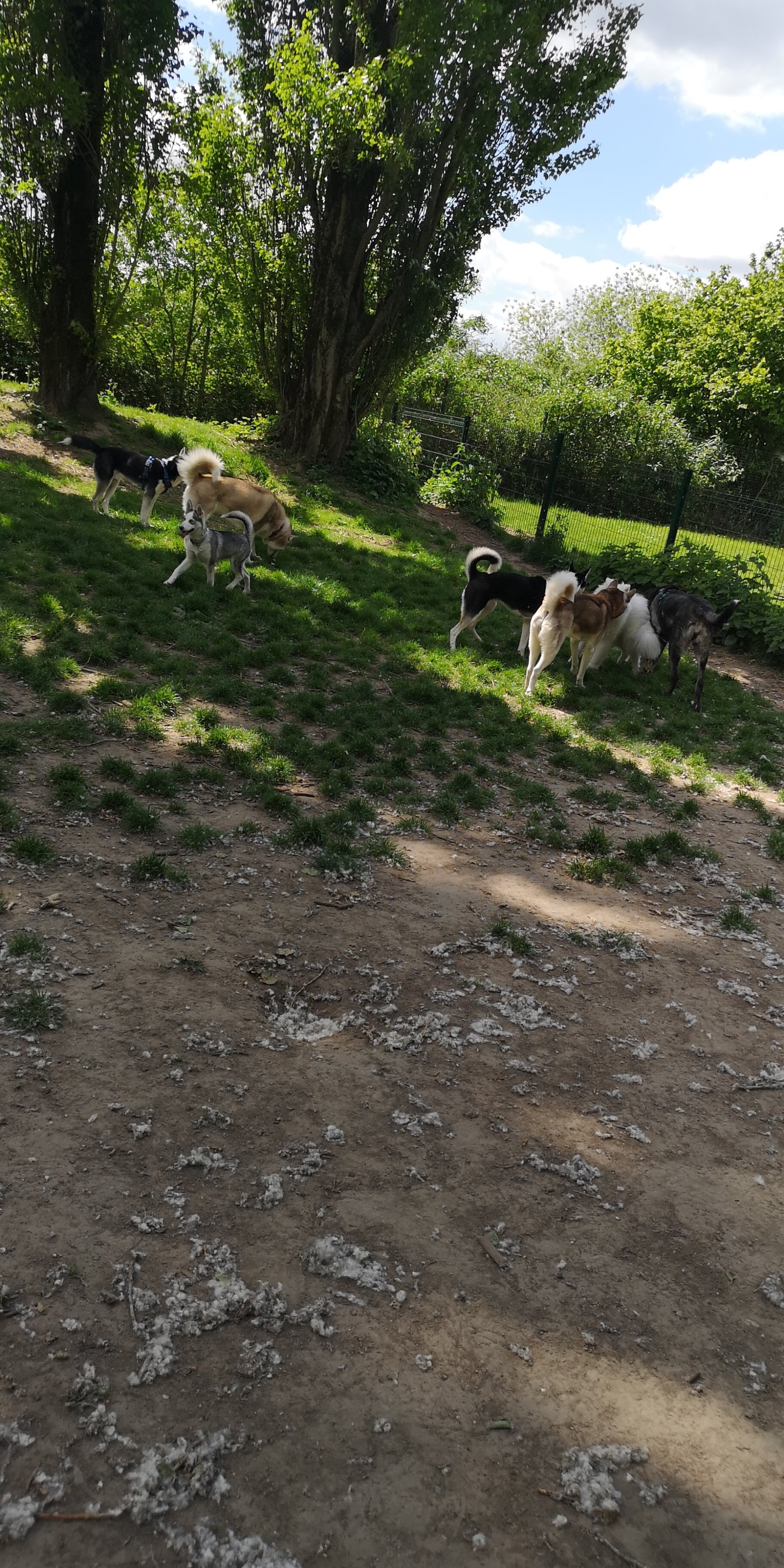 Photo n° 1 de l'avis de Antoine.e fait le 12/05/2019 à 14:18