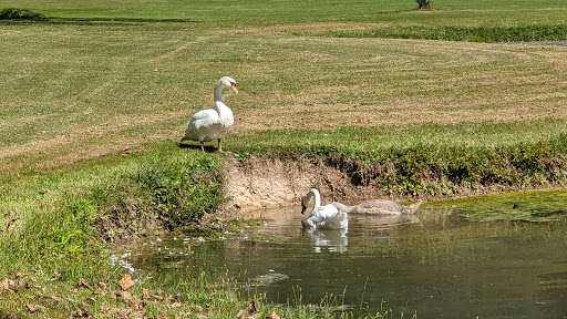 Golf Course «Arrowhead Golf Course», reviews and photos, 1539 Weavertown Rd, Douglassville, PA 19518, USA