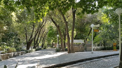 Photos of Vakil Abad Garden