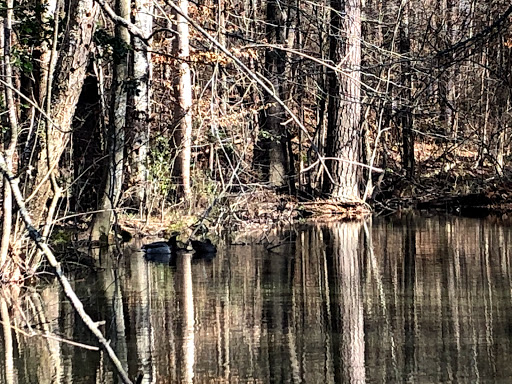 Nature Preserve «Swift Creek Bluffs Nature Preserve», reviews and photos, 7800 Holly Springs Rd, Raleigh, NC 27606, USA