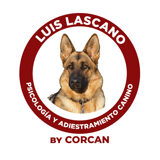 Adiestramiento Canino - CORCAN