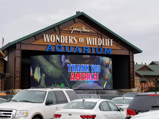 Sporting Goods Store «Bass Pro Shops», reviews and photos, 1935 S Campbell Ave, Springfield, MO 65807, USA