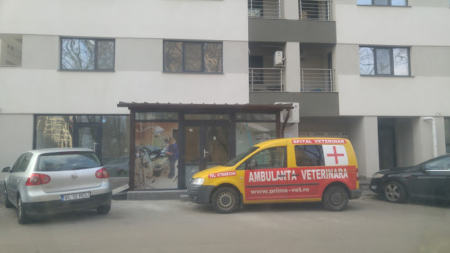 farmacie veterinara - Veterinar