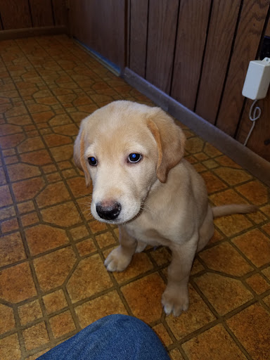 Hayward Animal Hospital image