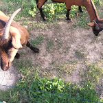 Photo n°21 de l'avis de Saverio.o fait le 01/07/2017 à 19:05 sur le  Casa Per Ferie Tabor à Pavullo nel Frignano