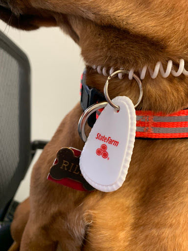 Auto Insurance Agency «Neil Elkins State Farm Insurance Agent», reviews and photos