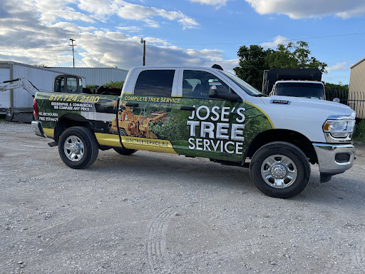 Jose’s Tree Service