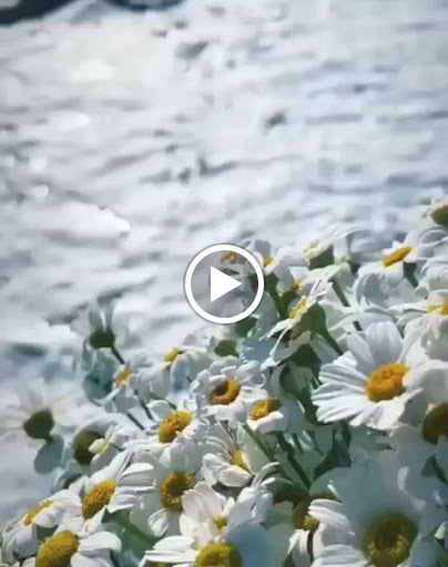 Florist «An Occasion Flowers», reviews and photos, 24823 SE 448th St, Enumclaw, WA 98022, USA