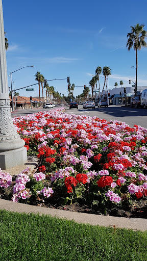 Dessert Restaurant «The Pastry Swan Bakery», reviews and photos, 73580 El Paseo c, Palm Desert, CA 92260, USA