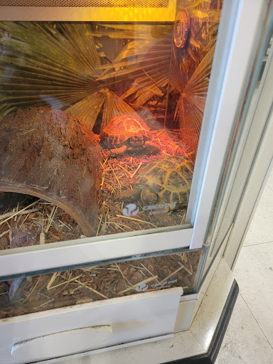 Pet Supply Store «PetSmart», reviews and photos, 1040 Cross Creek Dr, Saltillo, MS 38866, USA