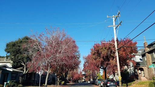 Shopping Mall «Shops at the Ridge», reviews and photos, 5100 Broadway, Oakland, CA 94611, USA