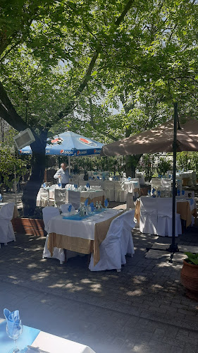 Comentarii opinii despre Ολυμπιάδα Βεργίνα