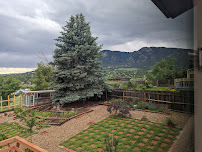 Trails & Tails Dog Adventures - Photo 9 - Car repair in Colorado Springs, CO, Colorado Springs