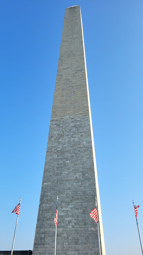 Explore small elephant tattoo ideas, creative tattoo ideas in Washington, available at Fattys Tattoos & Piercings Dupont Circle