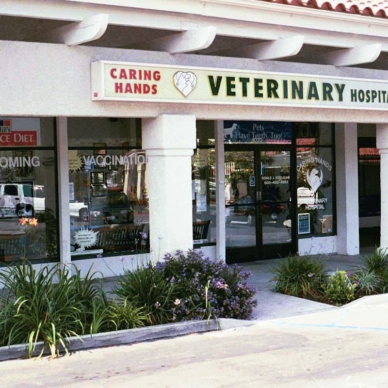 Caring Hands Veterinary Hospital, A Thrive Pet Healthcare Partner