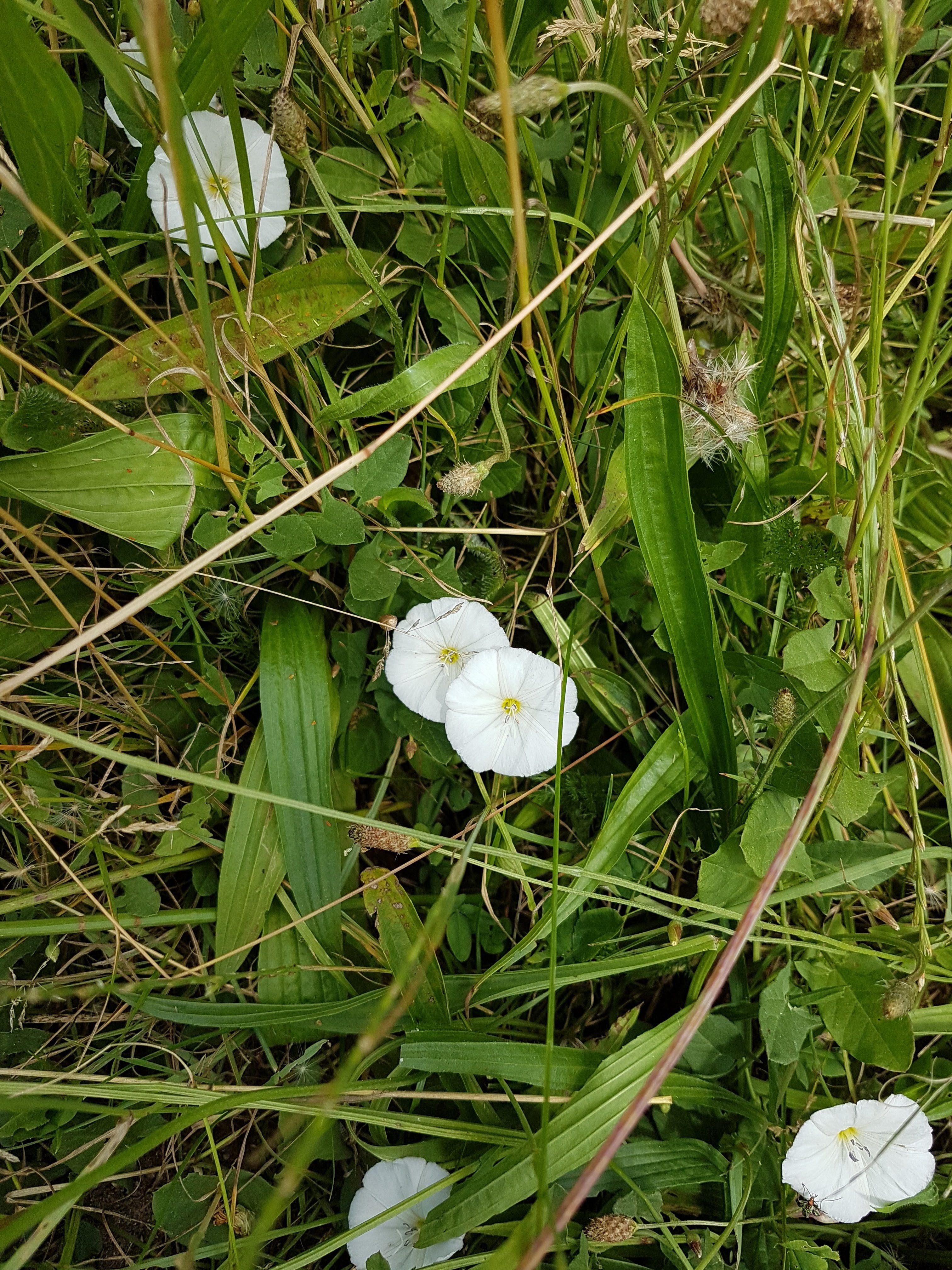 Photo n° 7 de l'avis de Amicie.e fait le 17/06/2020 à 14:41
